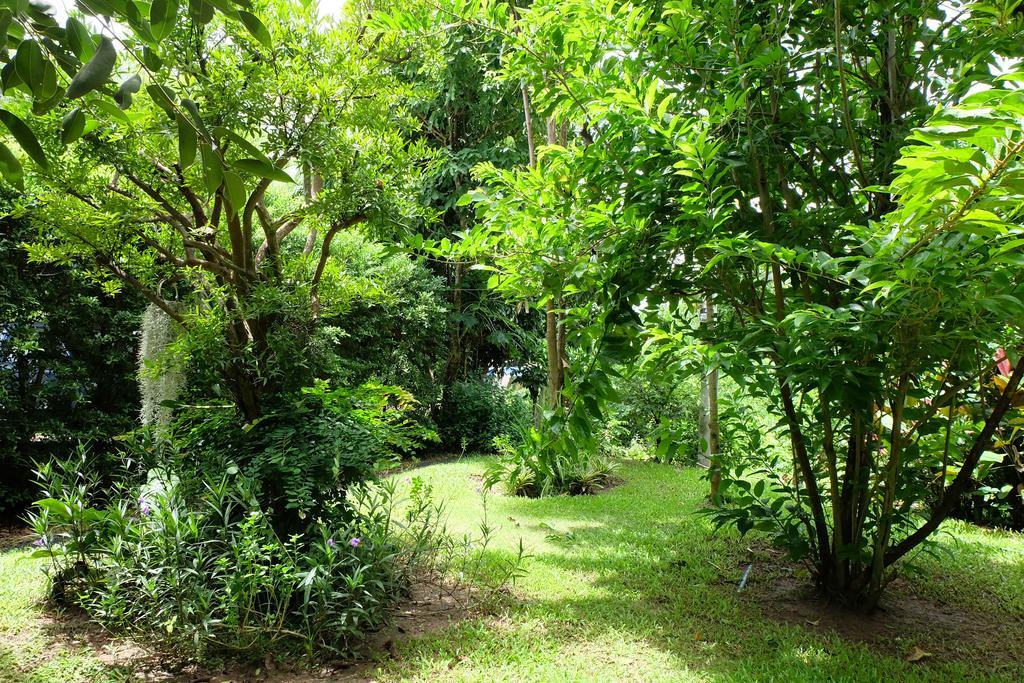 Rivercreek Estate Kaeng Krachan Exterior photo